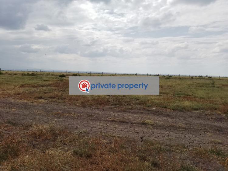 Land For Sale &nbsp;kimuri Nanyuki Laikipia - 7