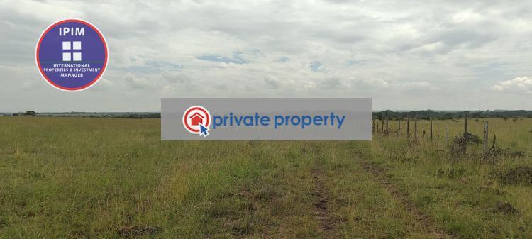 Land For Sale &nbsp;kisaju Kisau-Kiteta Makueni - 6
