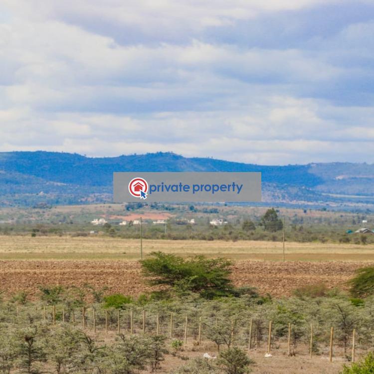 Land For Sale &nbsp;near Ereri Primary School Nanyuki Laikipia - 12