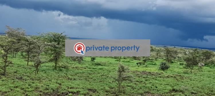 Land For Sale &nbsp;near Ereri Primary School Nanyuki Laikipia - 8