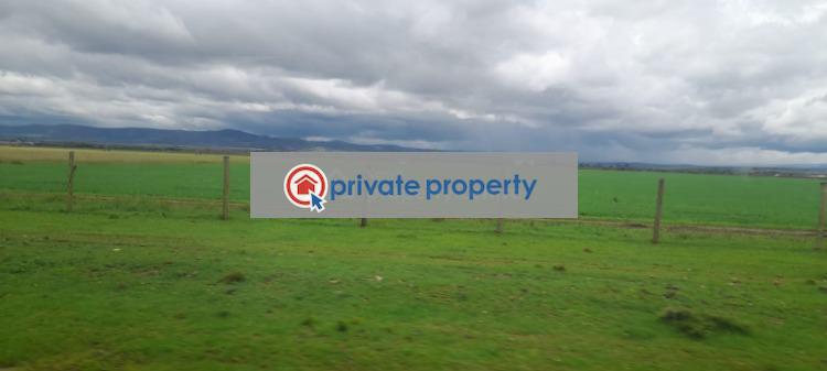 Land For Sale &nbsp;near Ereri Primary School Nanyuki Laikipia - 3
