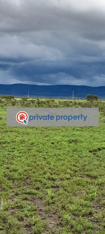 Land For Sale &nbsp;near Ereri Primary School Nanyuki Laikipia - 13