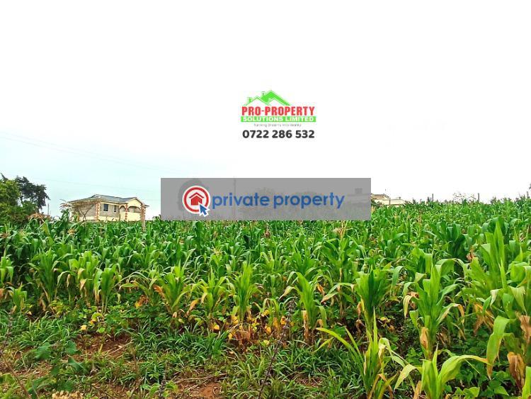 Residential Land For Sale &nbsp;kamangu Kikuyu Kiambu - 2
