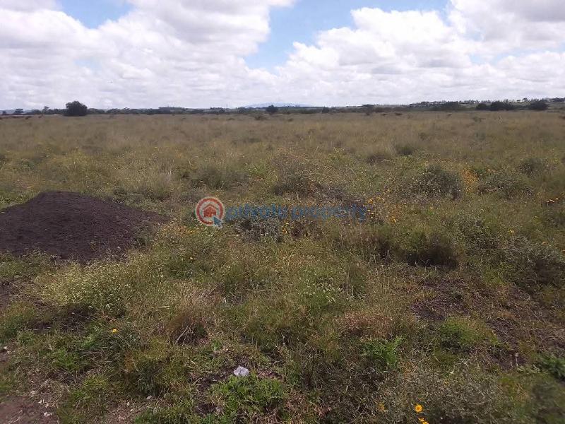 Land For Sale Kisaju Kitengela Kajiado - 11