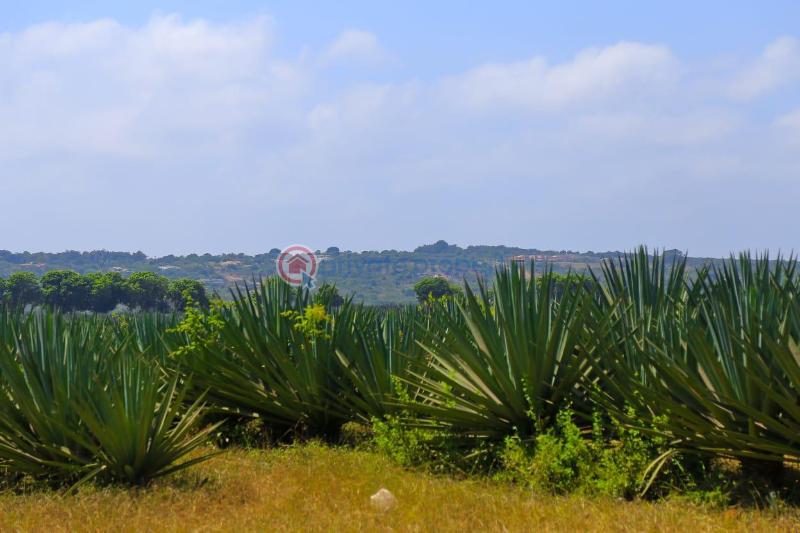 5 bedroom House For Sale Vipingo Ridge Golf Club Coast Mtwapa Kilifi - 15