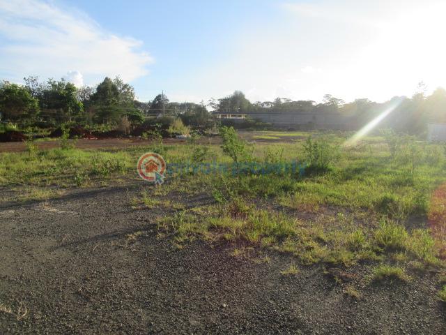 Land For Sale Ngong Rd Karen Nairobi - 7