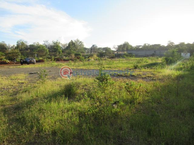 Land For Sale Ngong Rd Karen Nairobi - 5