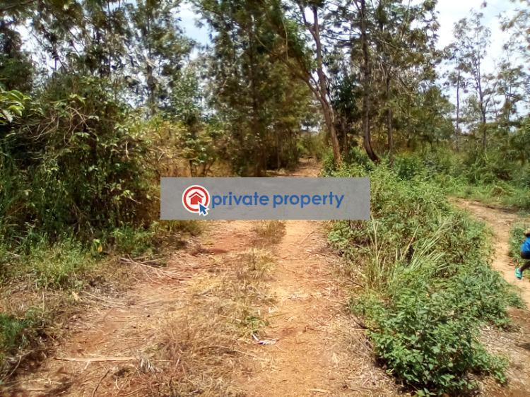 Land For Sale &nbsp;makuyu Makuyu Muranga - 9