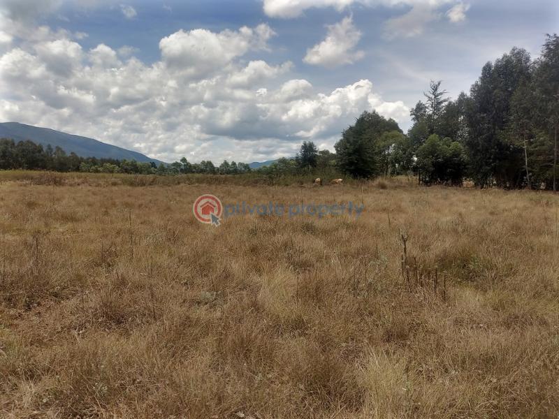 Land For Rent Kipipiri Karau Nyandarua - 10