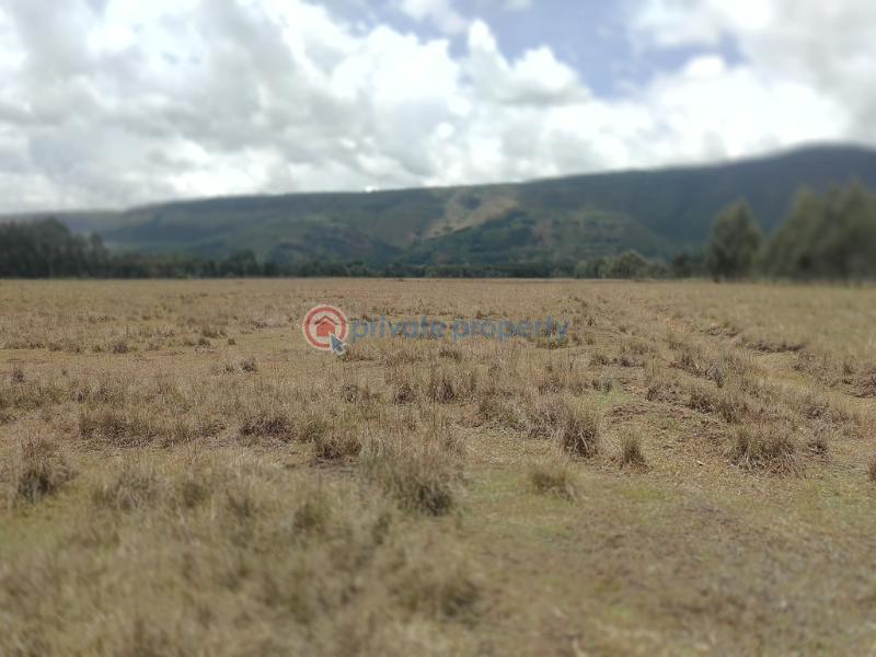 Land For Rent Kipipiri Karau Nyandarua - 6