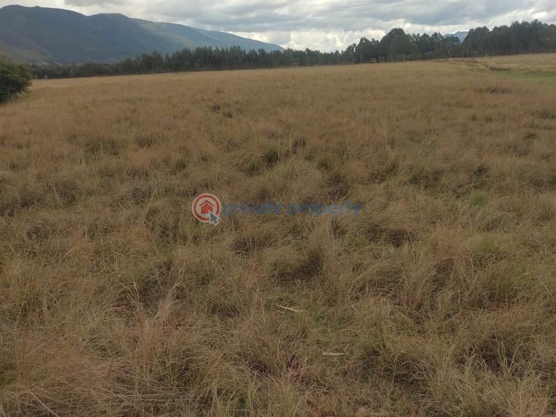 Land For Rent Kipipiri Karau Nyandarua - 4