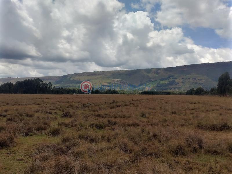 Land For Rent Kipipiri Karau Nyandarua - 8