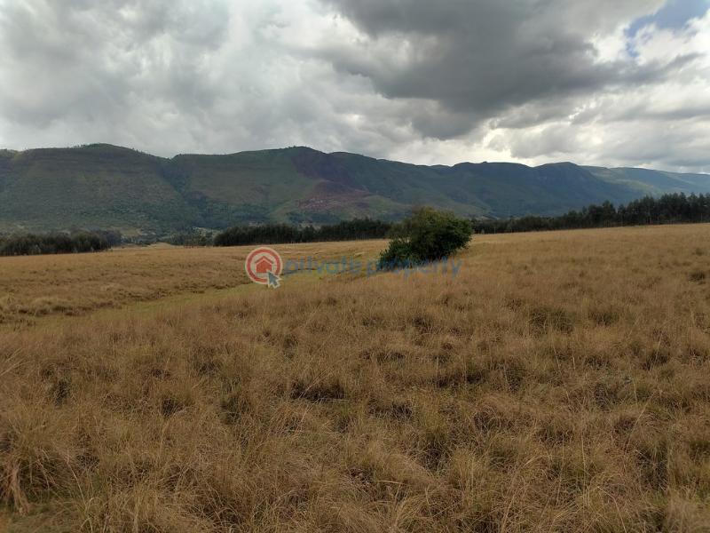 Land For Rent Kipipiri Karau Nyandarua - 3