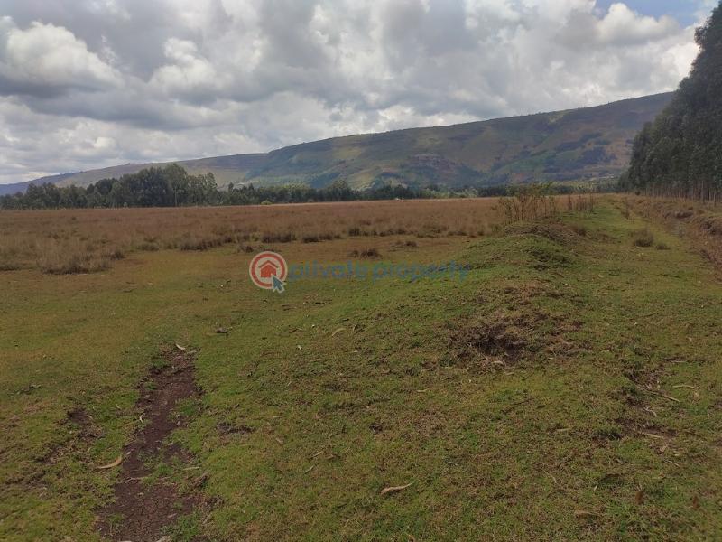 Land For Rent Kipipiri Karau Nyandarua - 1