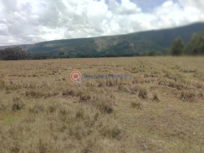Land For Rent Kipipiri Karau Nyandarua - 2