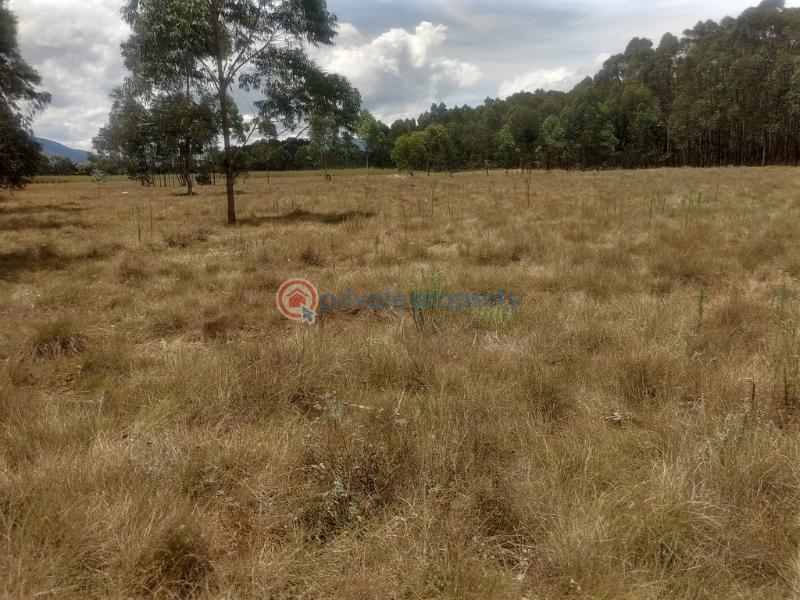 Land For Rent Kipipiri Karau Nyandarua - 9