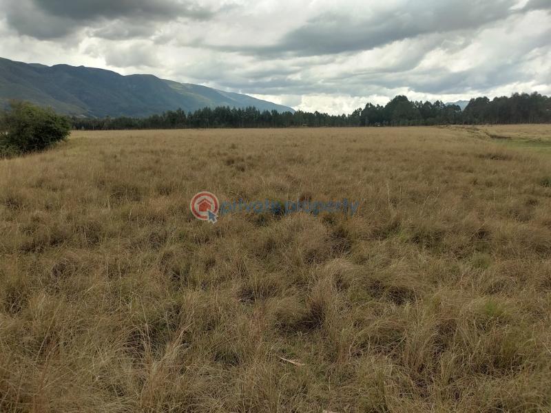 Land For Rent Kipipiri Karau Nyandarua - 5