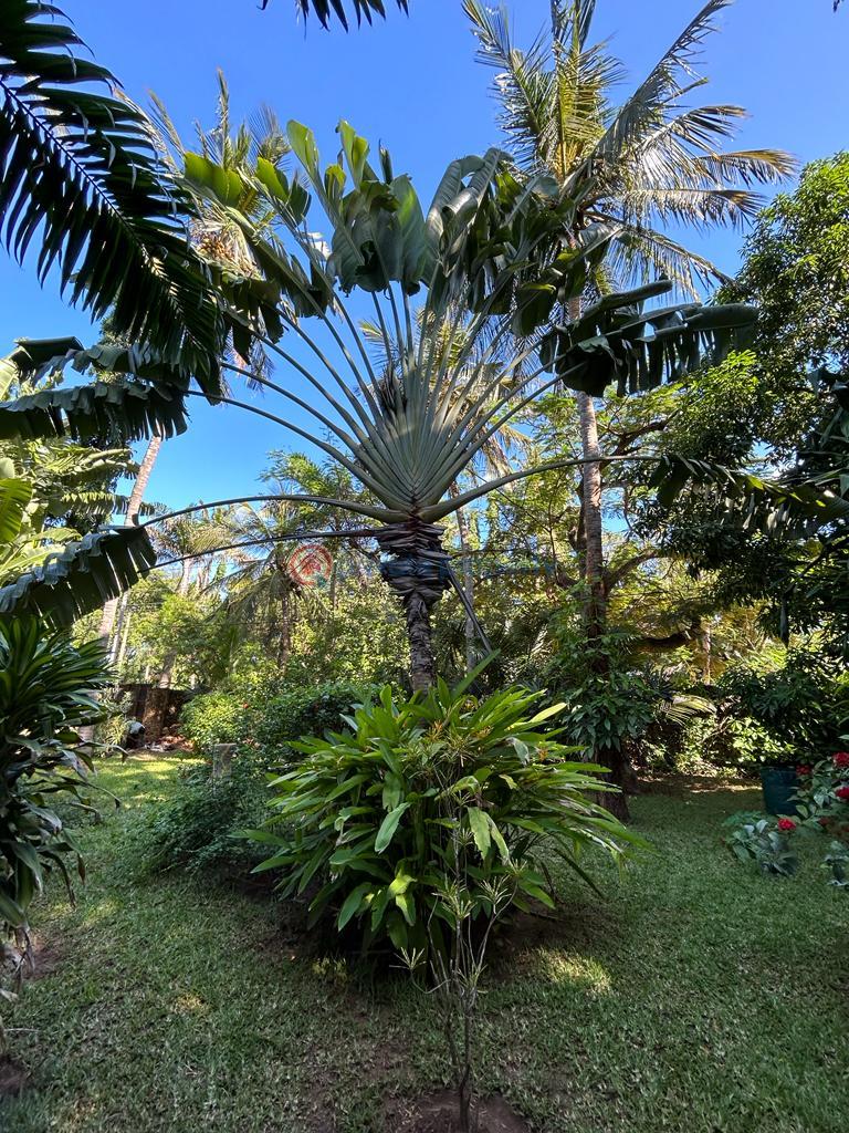 7 bedroom House Short let La Marina Mtwapa Kilifi - 4