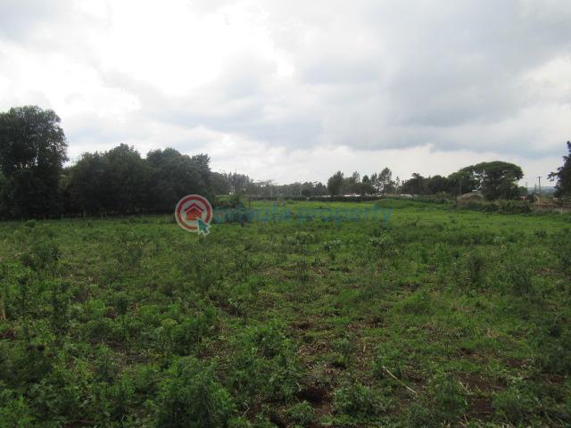 Land For Sale Kikuyu Town Kikuyu. Kiambu - 8