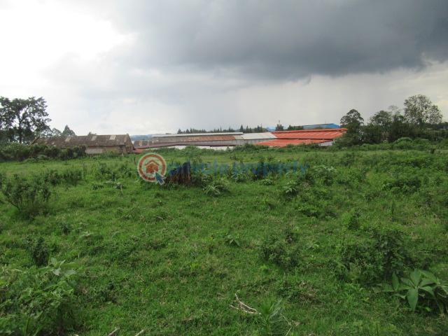 Land For Sale Kikuyu Town Kikuyu. Kiambu - 3