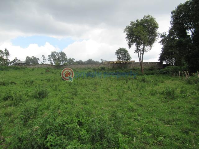Land For Sale Kikuyu Town Kikuyu. Kiambu - 5