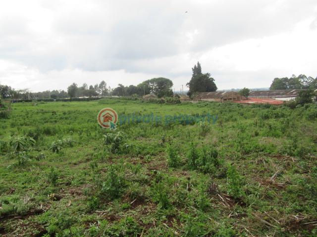 Land For Sale Kikuyu Town Kikuyu. Kiambu - 12