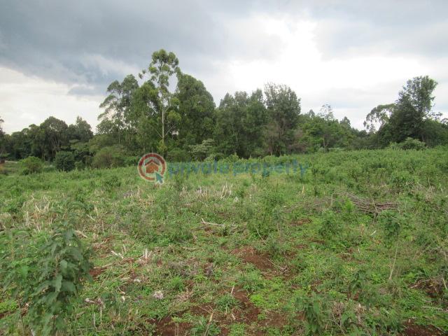 Land For Sale Kikuyu Town Kikuyu. Kiambu - 7