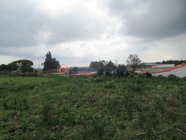 Land For Sale Kikuyu Town Kikuyu. Kiambu - 11