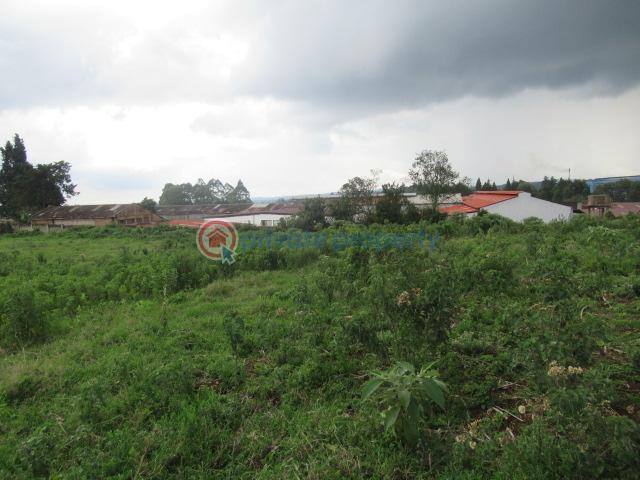 Land For Sale Kikuyu Town Kikuyu. Kiambu - 16