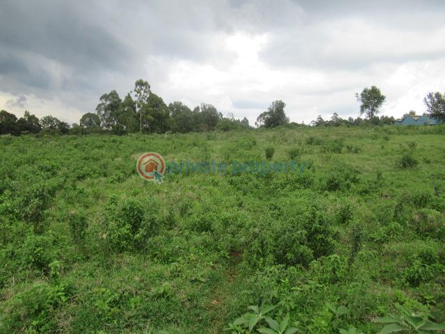 Land For Sale Kikuyu Town Kikuyu. Kiambu - 4