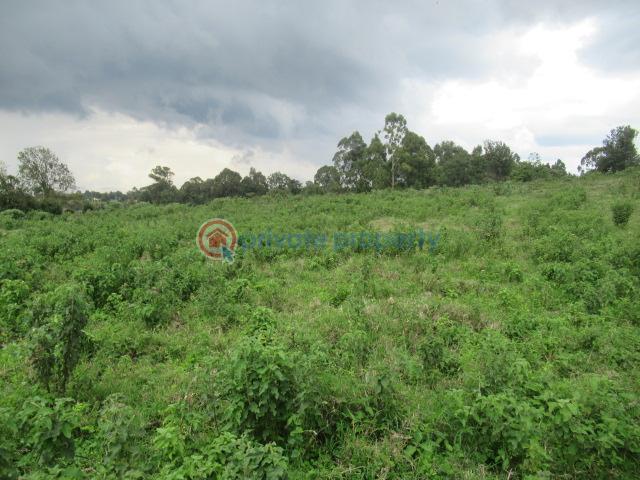 Land For Sale Kikuyu Town Kikuyu. Kiambu - 6