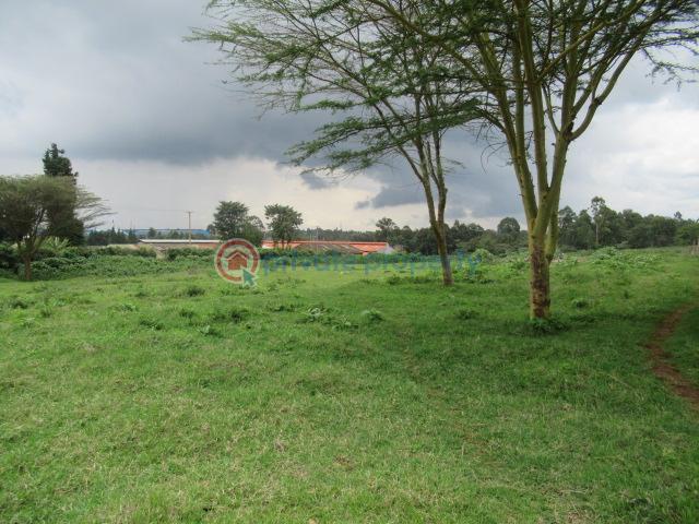 Land For Sale Kikuyu Town Kikuyu. Kiambu - 2