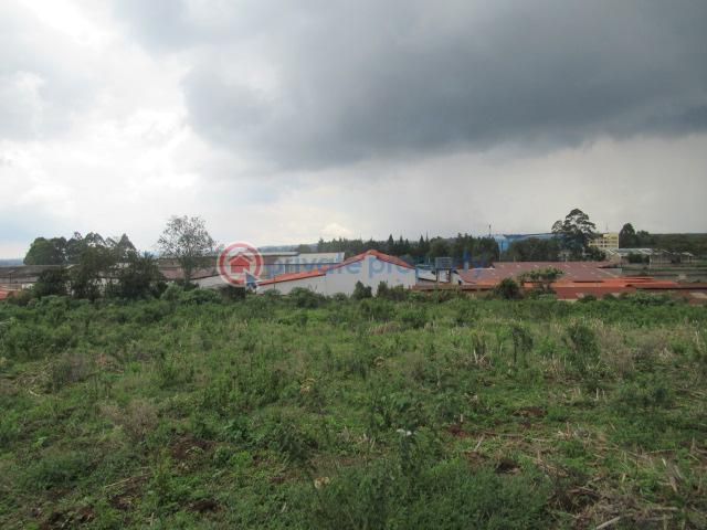 Land For Sale Kikuyu Town Kikuyu. Kiambu - 9