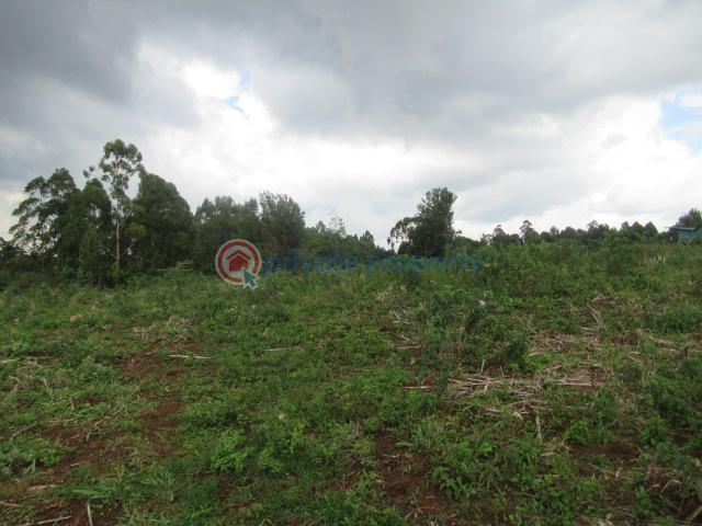 Land For Sale Kikuyu Town Kikuyu. Kiambu - 14