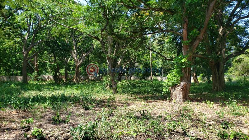 Land For Sale Mtwapa La Marina Mtwapa Kilifi - 3