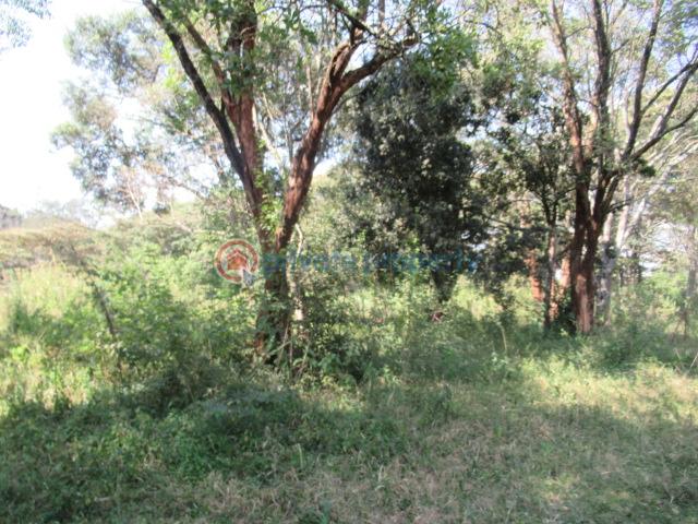 Land For Sale Karen Hardy Karen Nairobi - 0