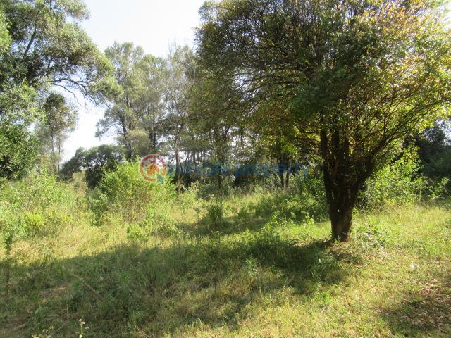 Land For Sale Karen Hardy Karen Nairobi - 1