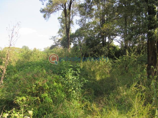 Land For Sale Karen Hardy Karen Nairobi - 4