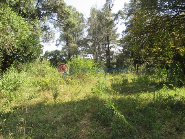 Land For Sale Karen Hardy Karen Nairobi - 5