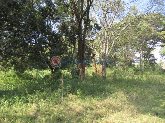 Land For Sale Karen Hardy Karen Nairobi - 3