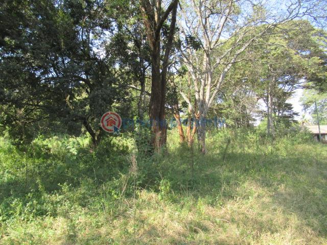Land For Sale Karen Hardy Karen Nairobi - 7