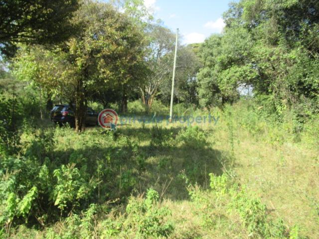 Land For Sale Karen Hardy Karen Nairobi - 9