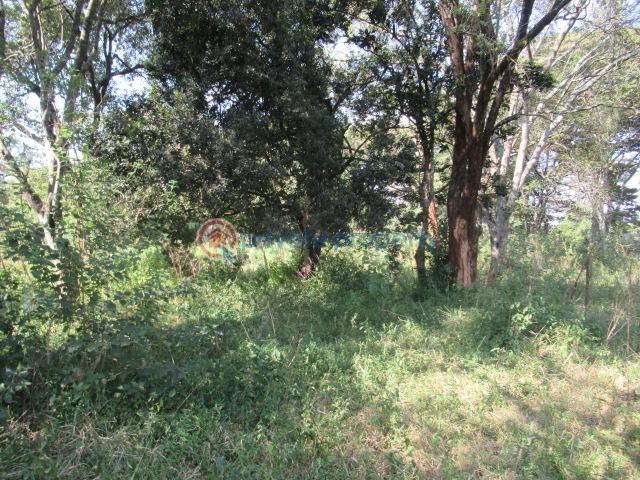 Land For Sale Karen Hardy Karen Nairobi - 6