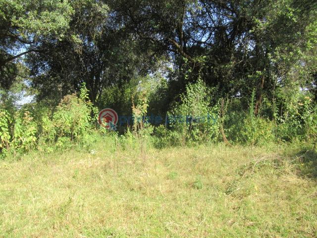 Land For Sale Karen Hardy Karen Nairobi - 8