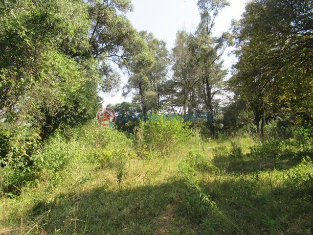 Land For Sale Karen Hardy Karen Nairobi - 2