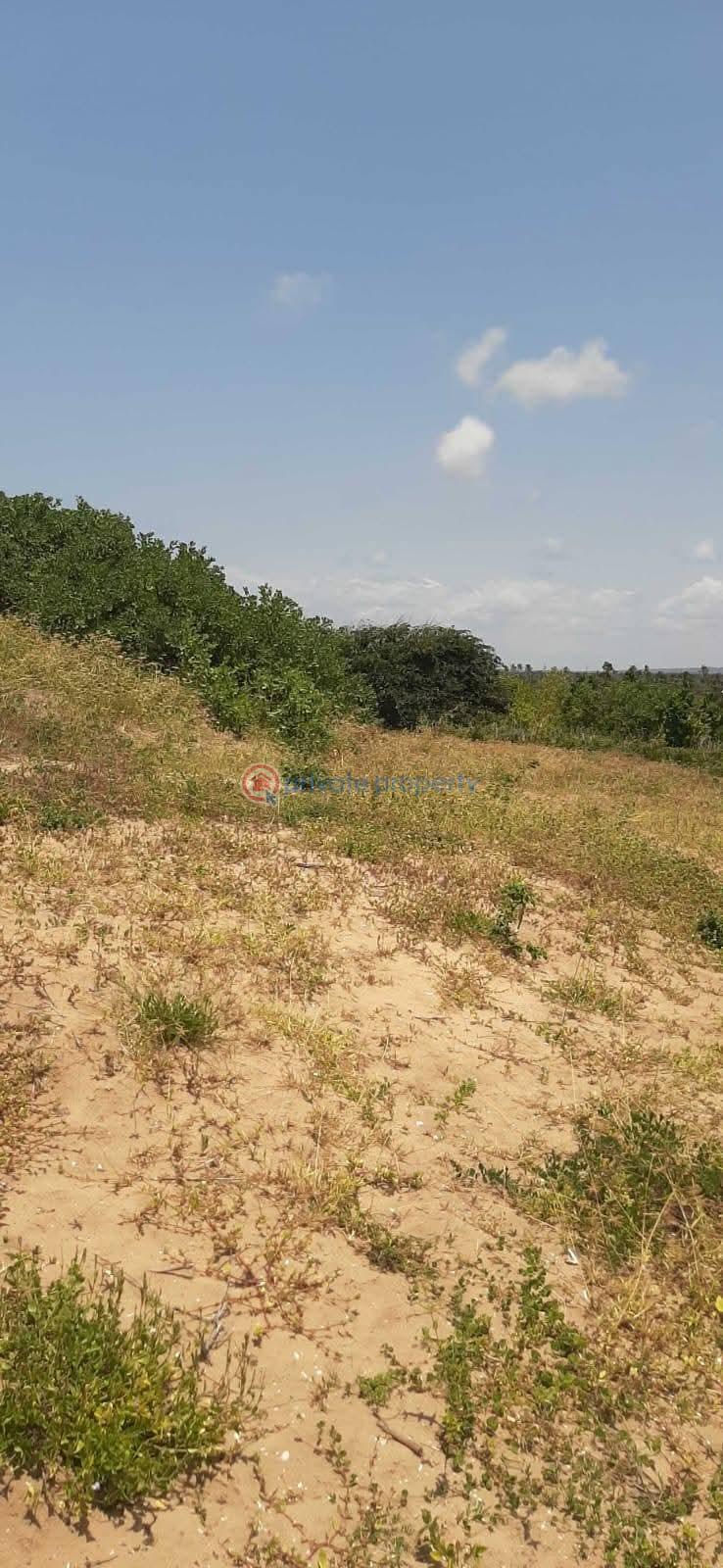 Land For Sale Chumani ,kenya Tezo Kilifi  - 8