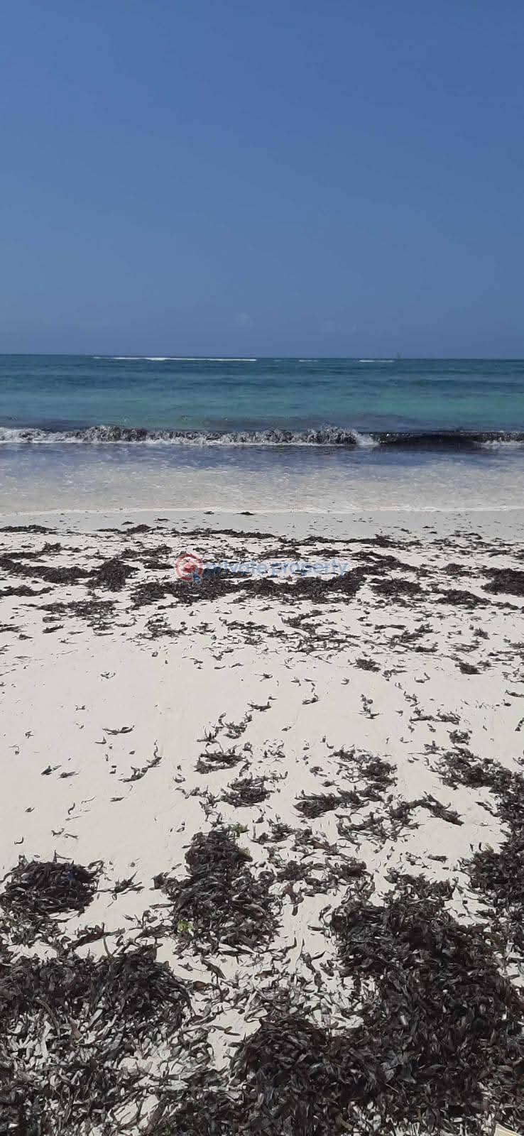 Land For Sale Chumani ,kenya Tezo Kilifi  - 2