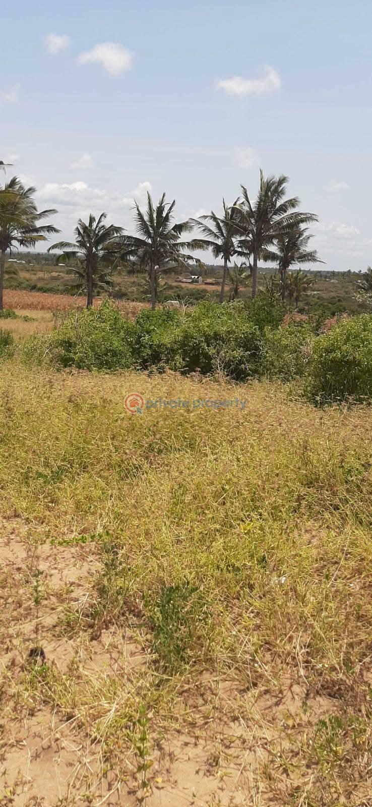 Land For Sale Chumani ,kenya Tezo Kilifi  - 7