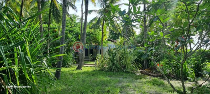 3 bedroom Detached Bungalow For Sale Kanamai Road Near Salama Beach Hotel Kanamai Mtwapa Kilifi - 17
