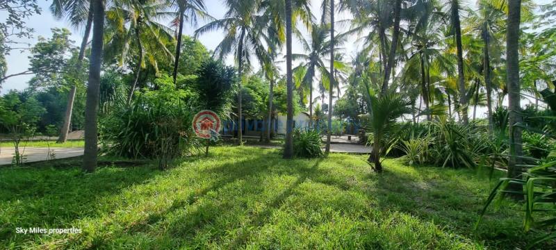 3 bedroom Detached Bungalow For Sale Kanamai Road Near Salama Beach Hotel Kanamai Mtwapa Kilifi - 13